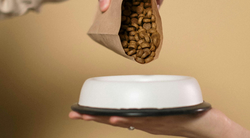 Tippek a hipoallergén táp kiválasztásához