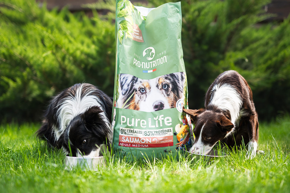 PureLife kutyatáp