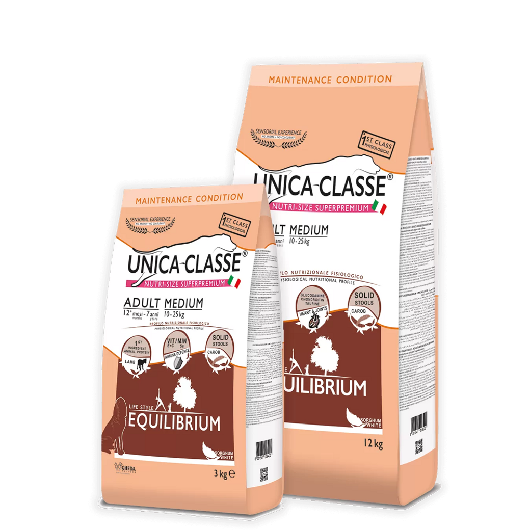 Gheda Unica Classe Adult Medium Equilibrium