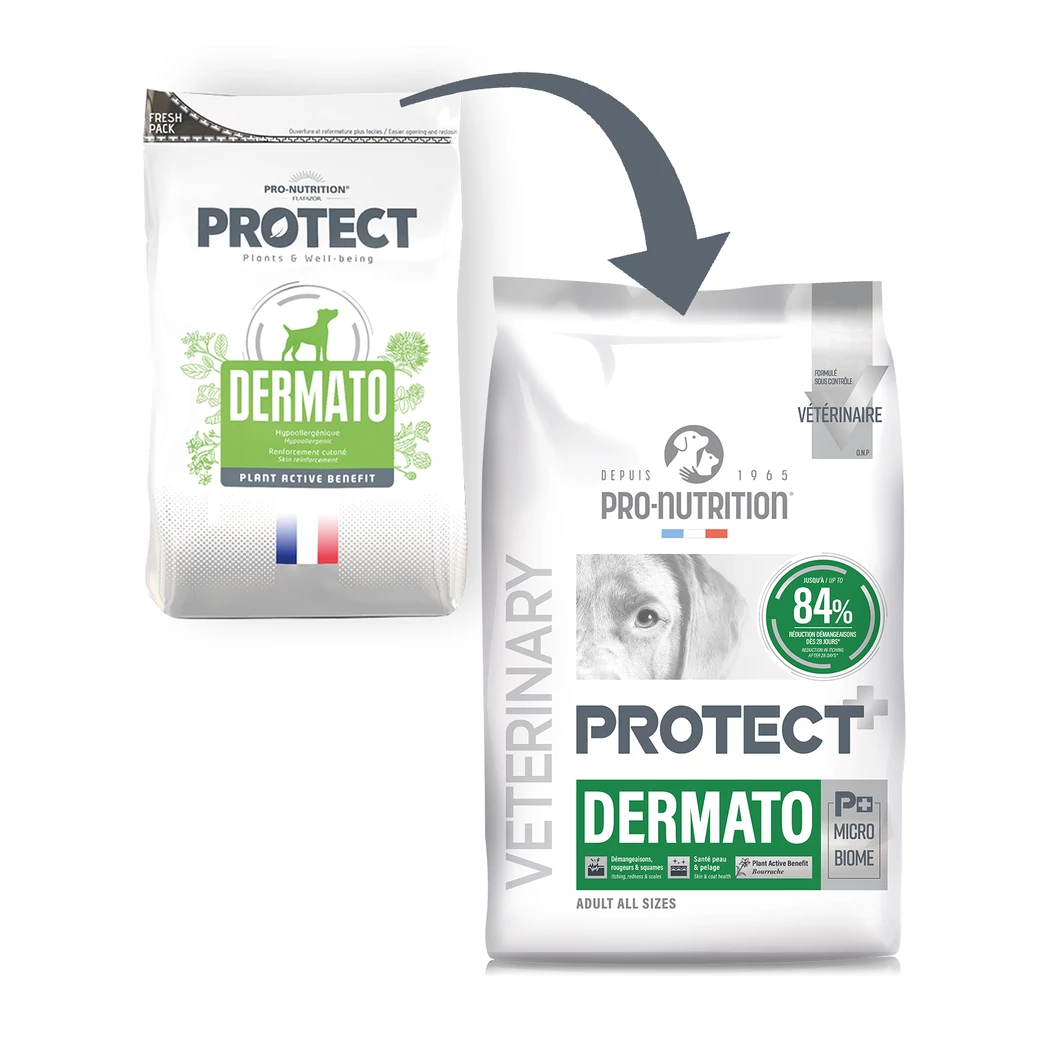 Pro-Nutrition Protect Dog Dermato 