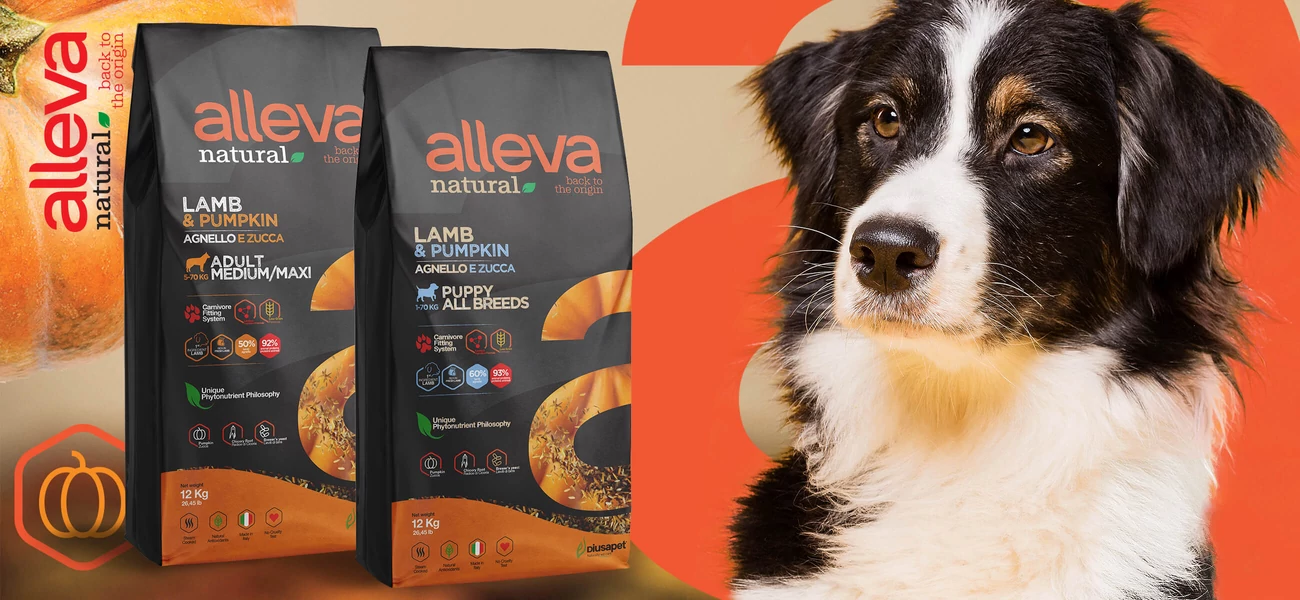 Natural Header .jpg.webp?lastmod=0