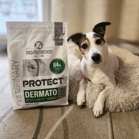 Kép 4/4 - Pro-Nutrition Protect Dog Dermato 