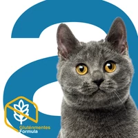 Kép 3/3 - Alleva Equilibrium Cat Sterilized Fish (10kg, hallal)