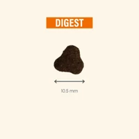 Kép 6/6 - Pro-Nutrition Protect Cat Digest