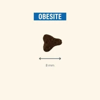 Kép 5/5 - Pro-Nutrition Protect Cat Obesite