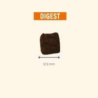 Kép 6/6 - Pro-Nutrition Protect Dog Digest
