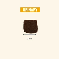 Kép 4/4 - Pro-Nutrition Protect Dog Urinary 