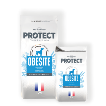 Pro-Nutrition Protect Dog Obesite