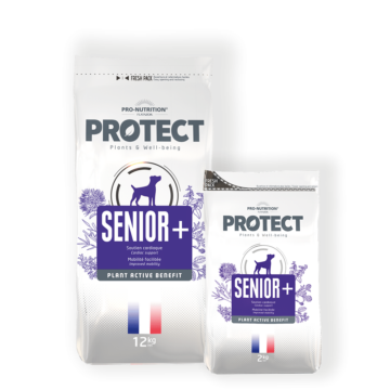Pro-Nutrition Protect Dog Senior+