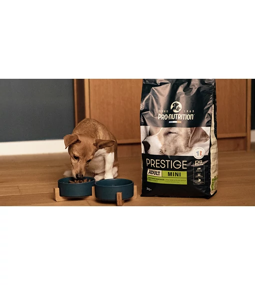 Miért éri meg a Pro-Nutrition Prestige?