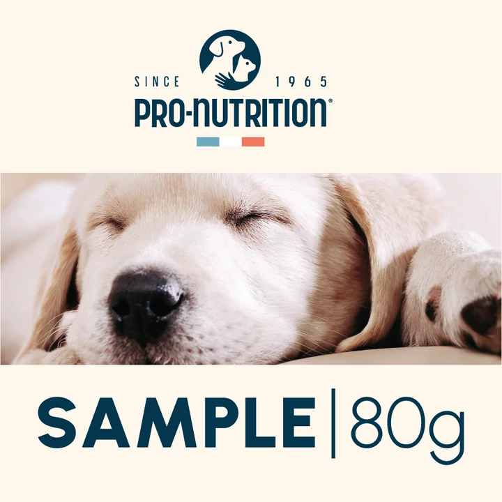 Pro-Nutrition Prestige Puppy Maxi  próbacsomag (80g)