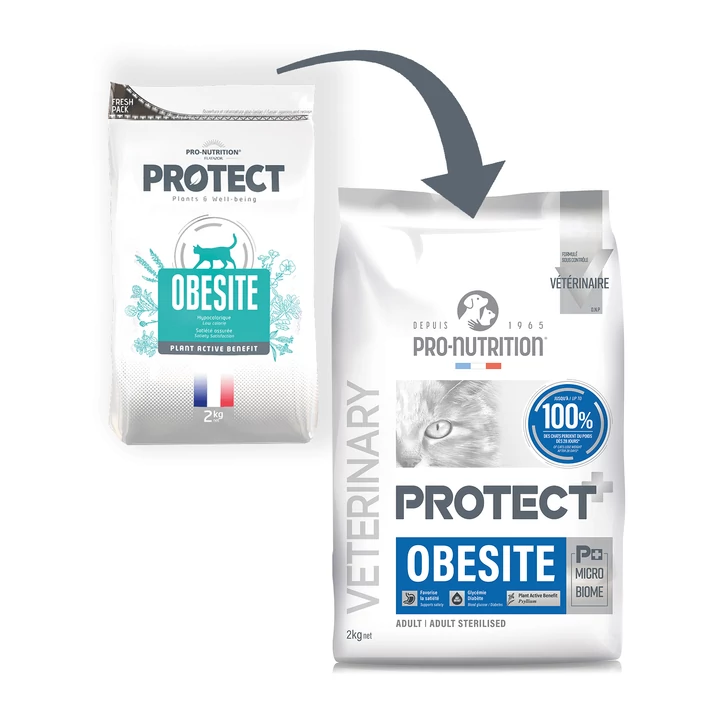 Pro-Nutrition Protect Cat Obesite (2kg)