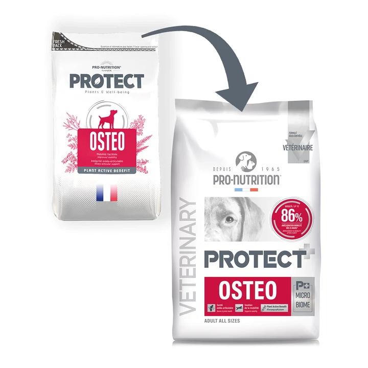 Pro-Nutrition Protect Dog Osteo