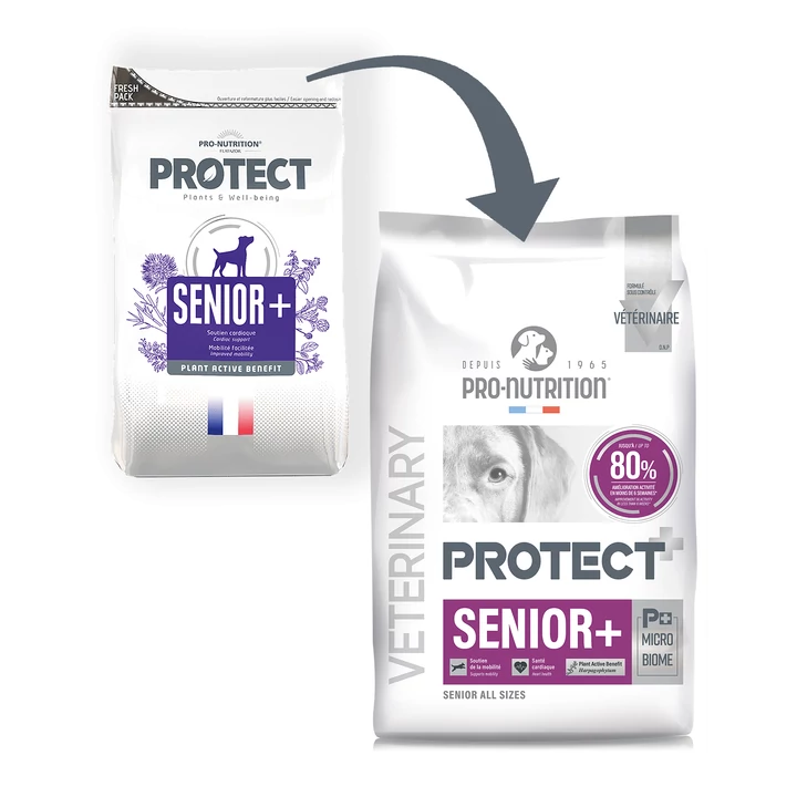 Pro-Nutrition Protect Dog Senior+