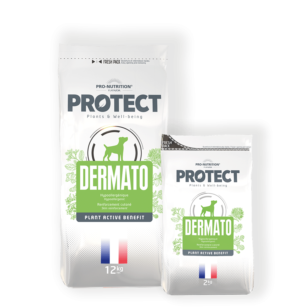 Pro-Nutrition Protect Dog Dermato