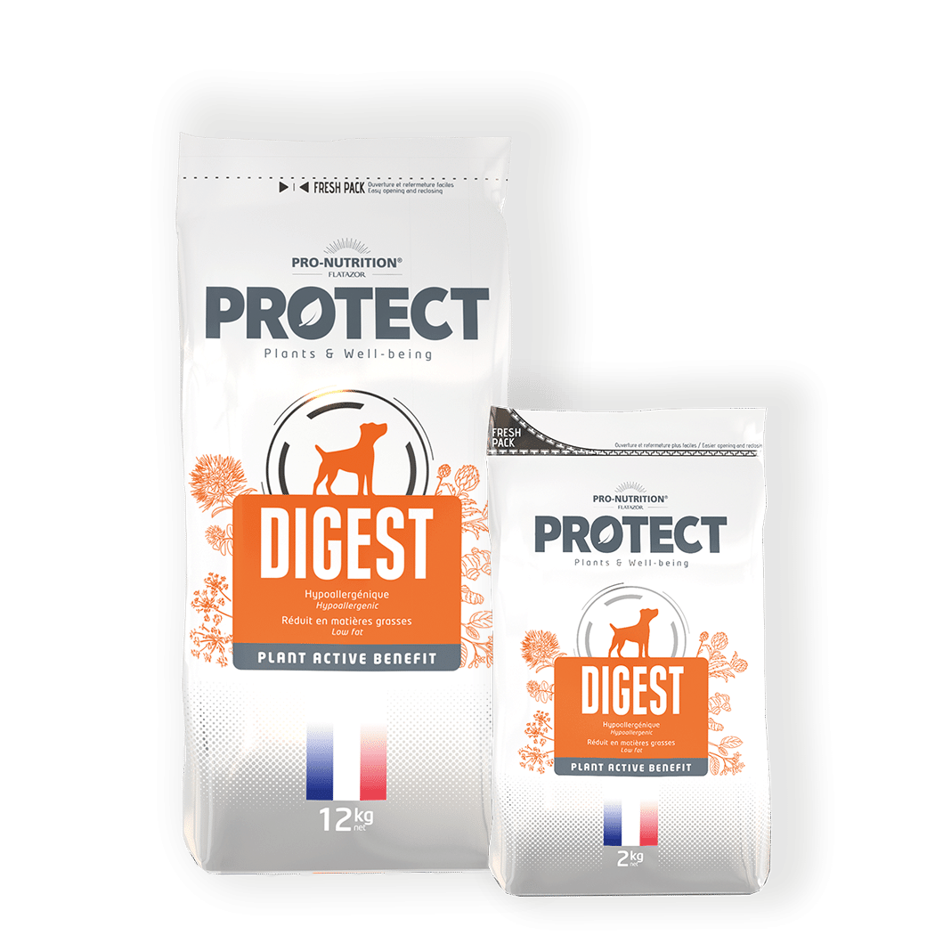 Pro-Nutrition Protect Dog Digest