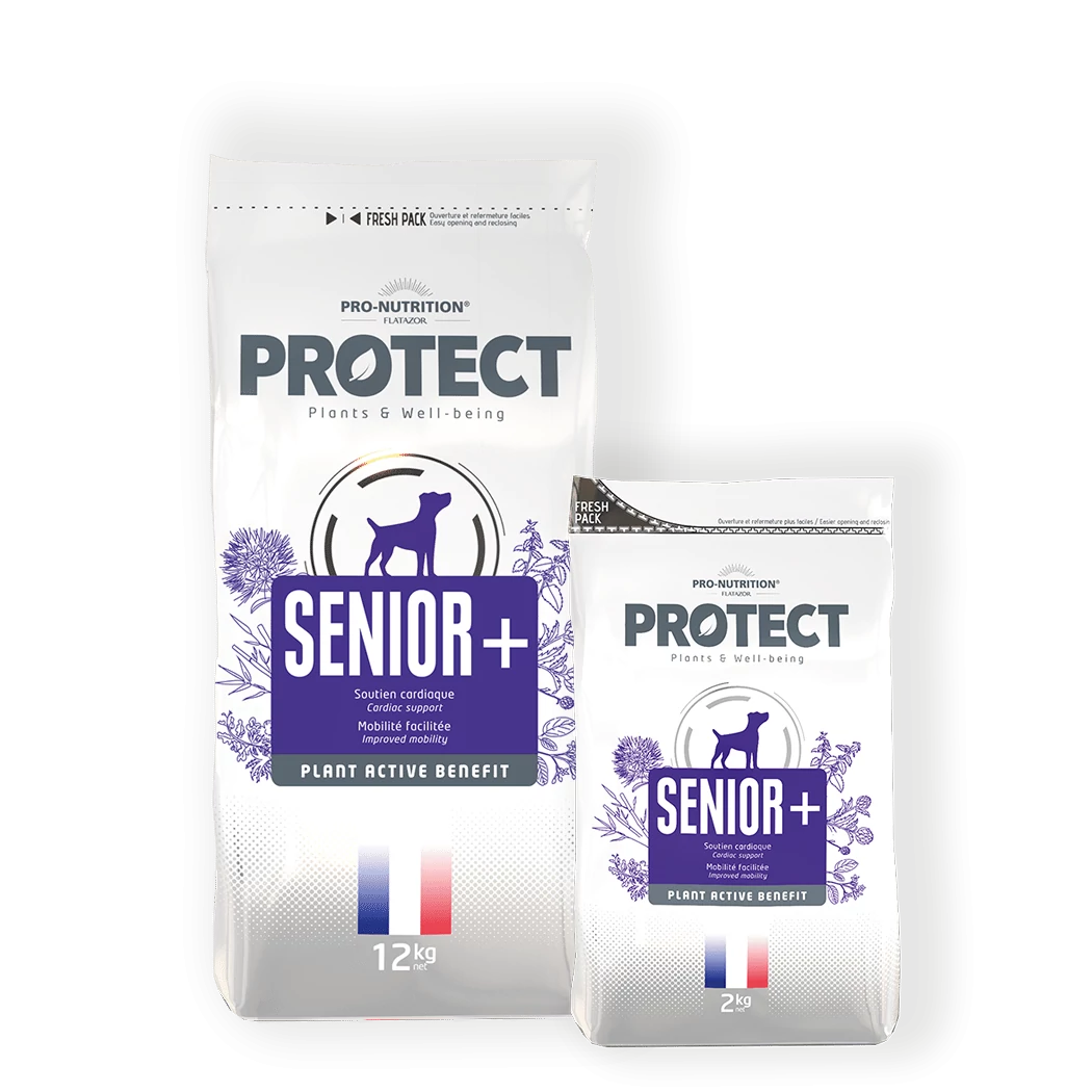 Pro-Nutrition Protect Dog Senior+