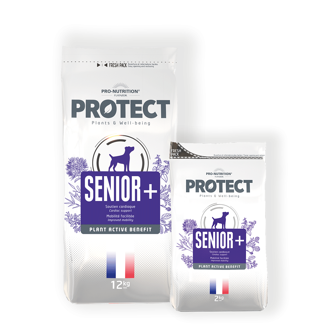 Pro-Nutrition Protect Dog Senior+