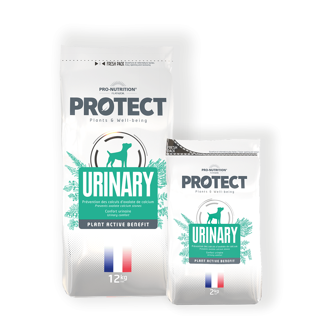 Pro-Nutrition Protect Dog Urinary
