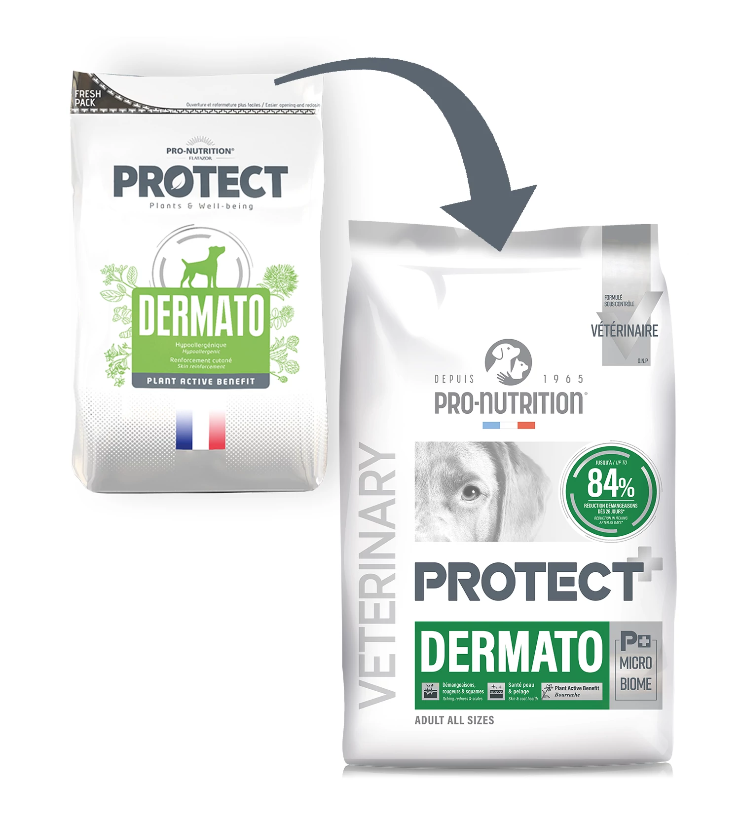 Pro-Nutrition Protect Dog Dermato 