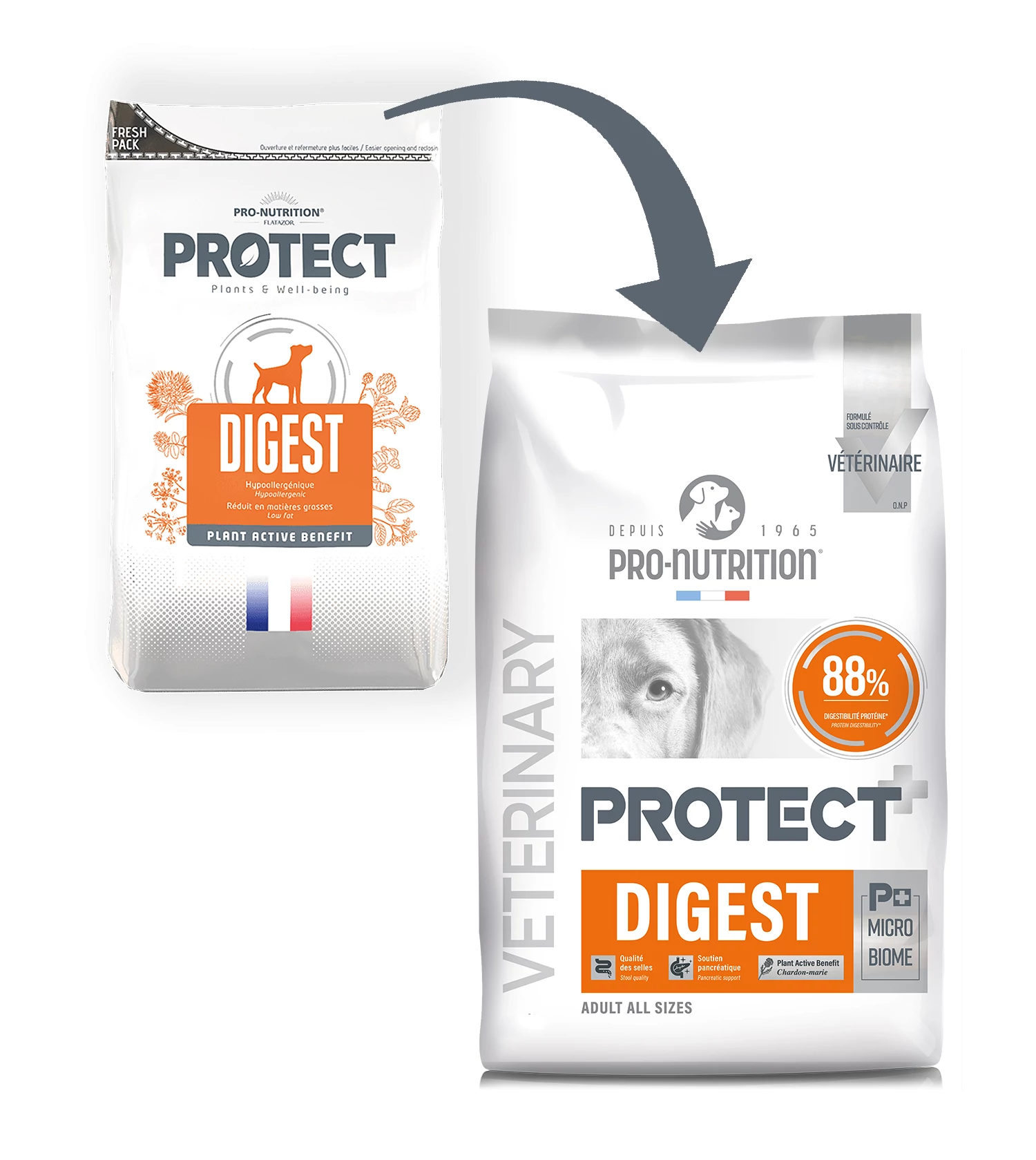 Pro-Nutrition Protect Dog Digest