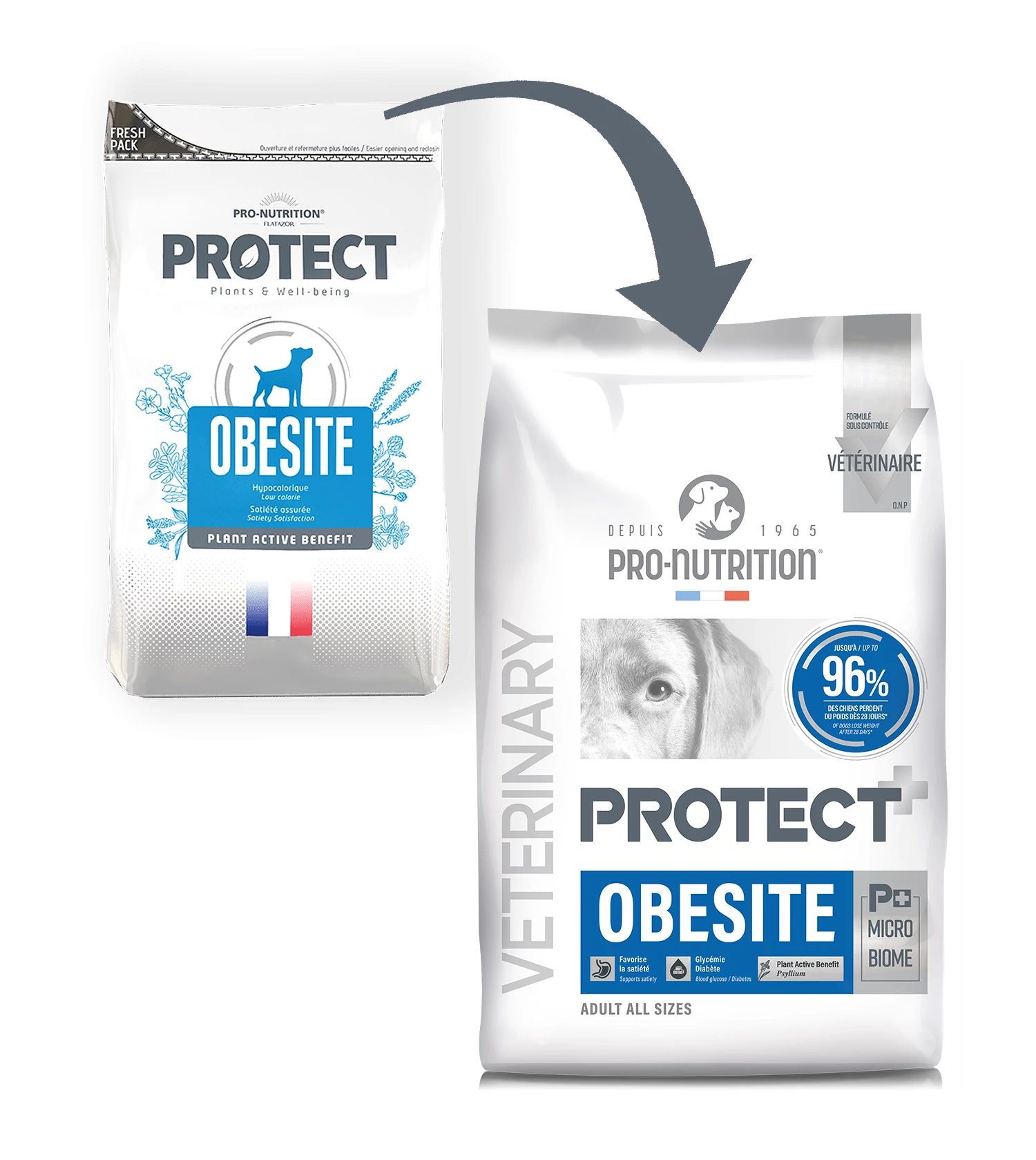 Pro-Nutrition Protect Dog Obesite