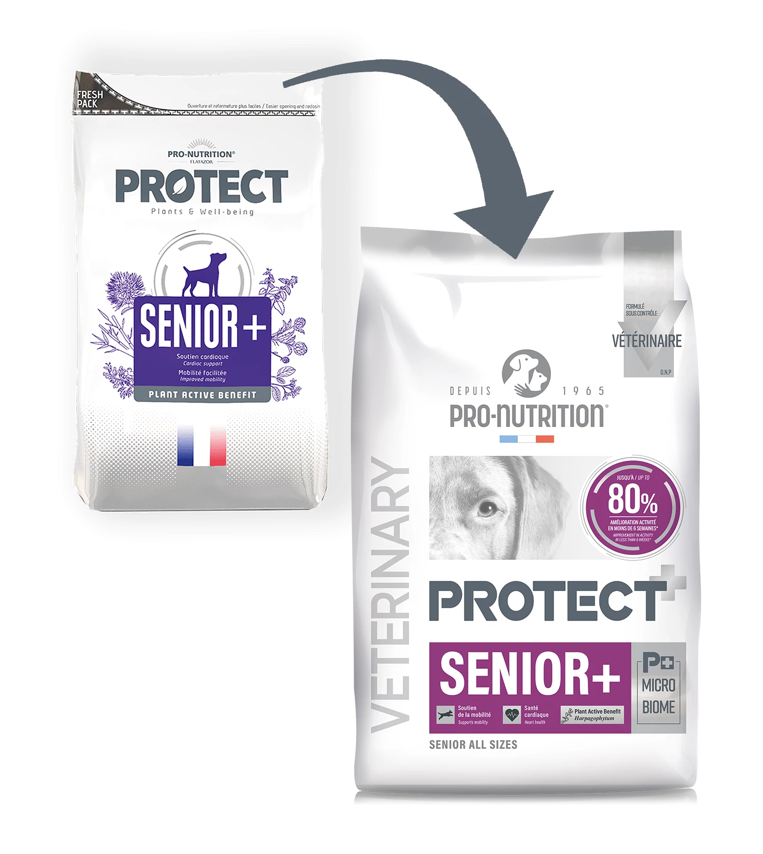 Pro-Nutrition Protect Dog Senior+